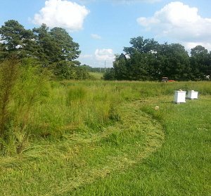 Screen Shot 2014-09-18 at 6.34.39 PM (1)