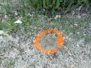 2013-02-28_11-02-23_212