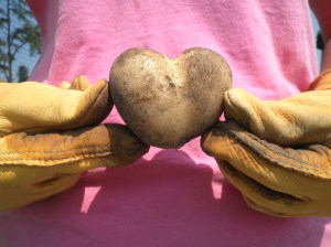 Whether you have a heart for helping others, gardening, or just love fresh, organic produce, we'd love to meet you!