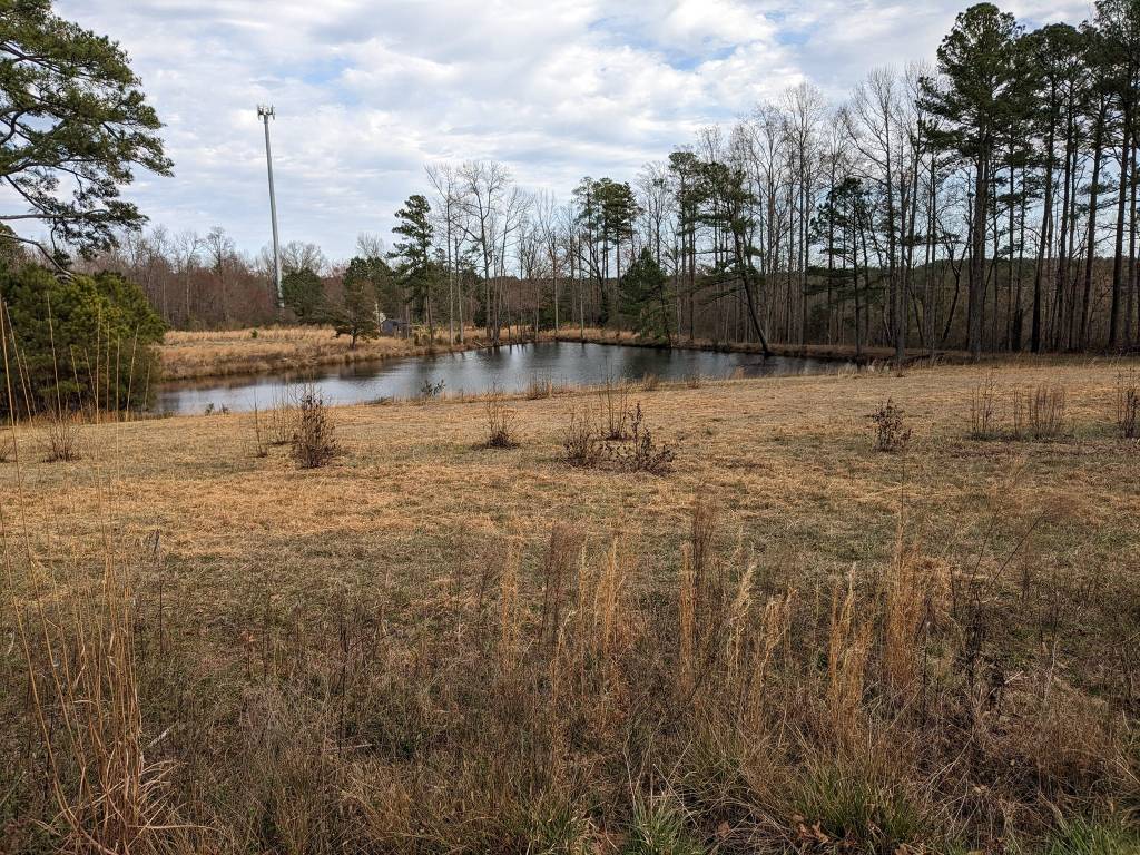 A New Home at&nbsp;Last!