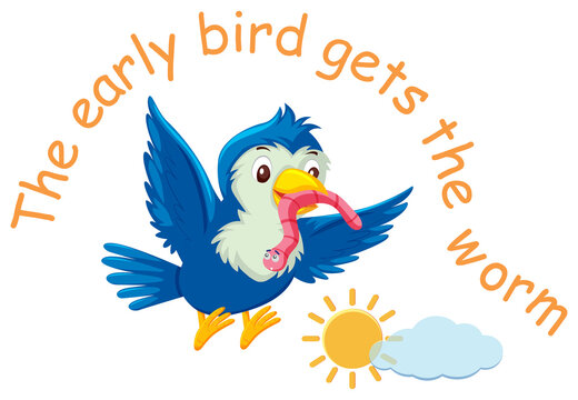 Garden begins at 8am tomorrow!