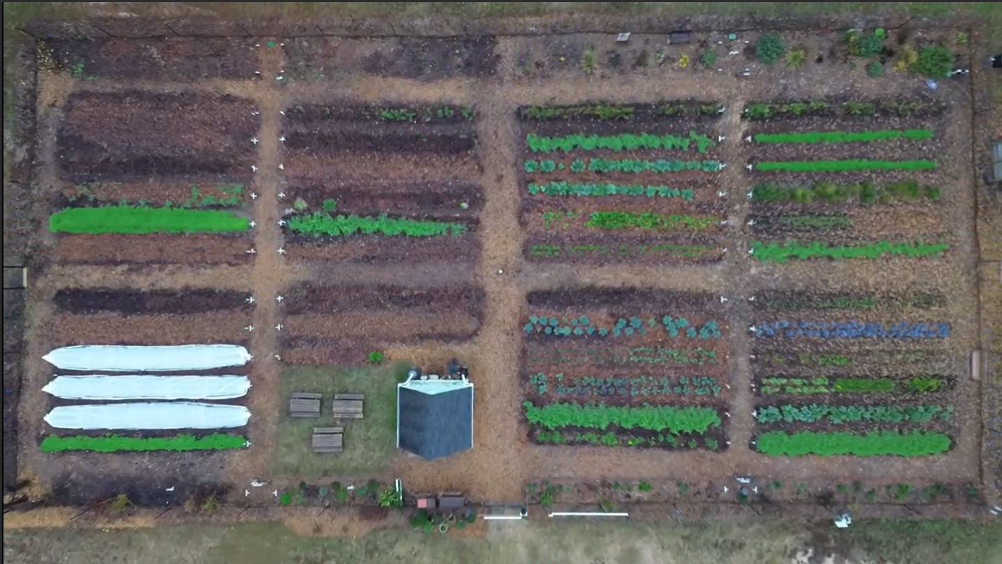 Aerial view of garden