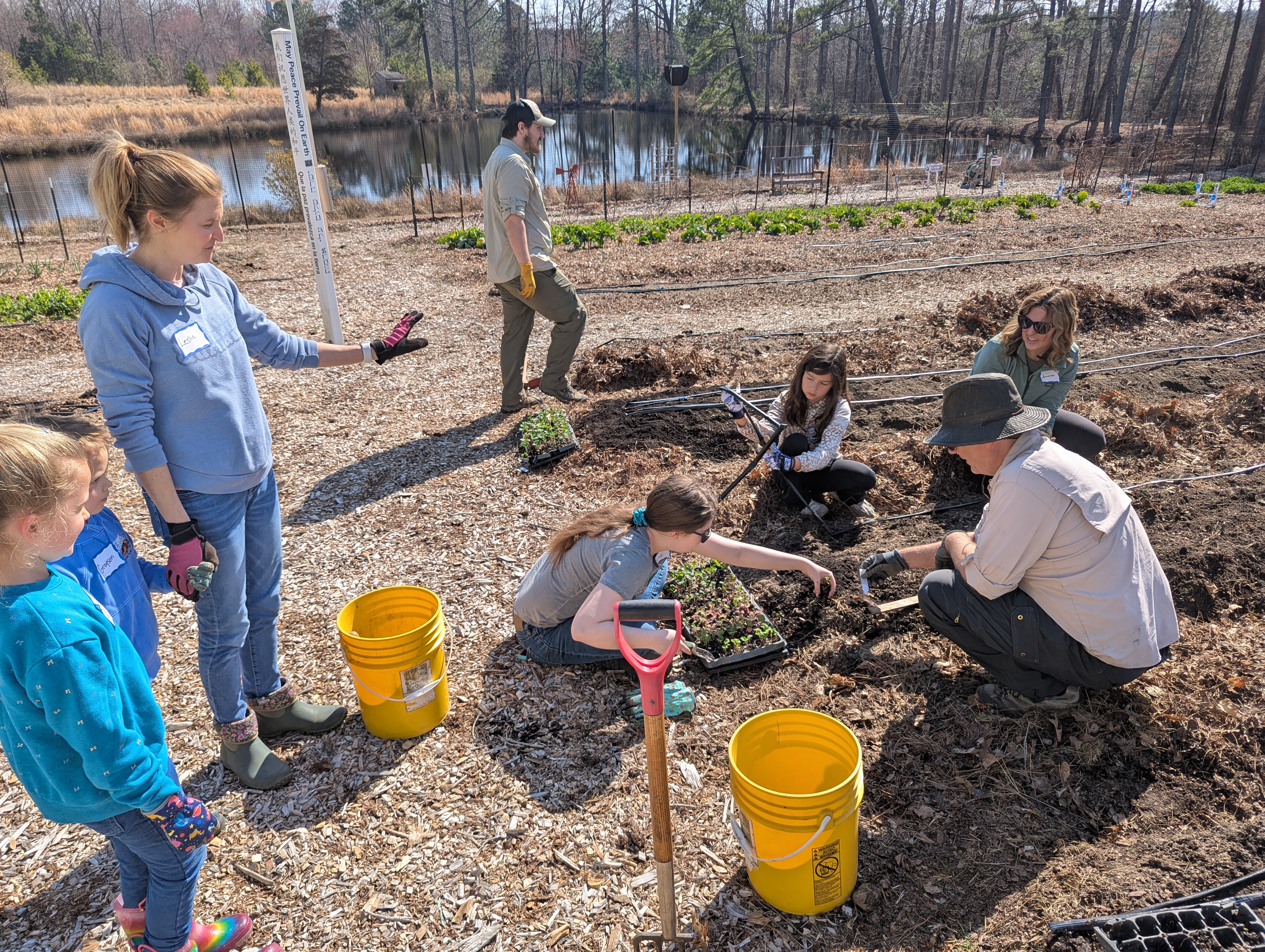 Greening the Garden for 2025!