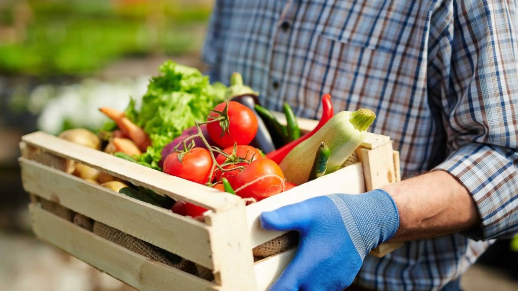 Volunteers needed to deliver Thursday produce to new food&nbsp;bank!