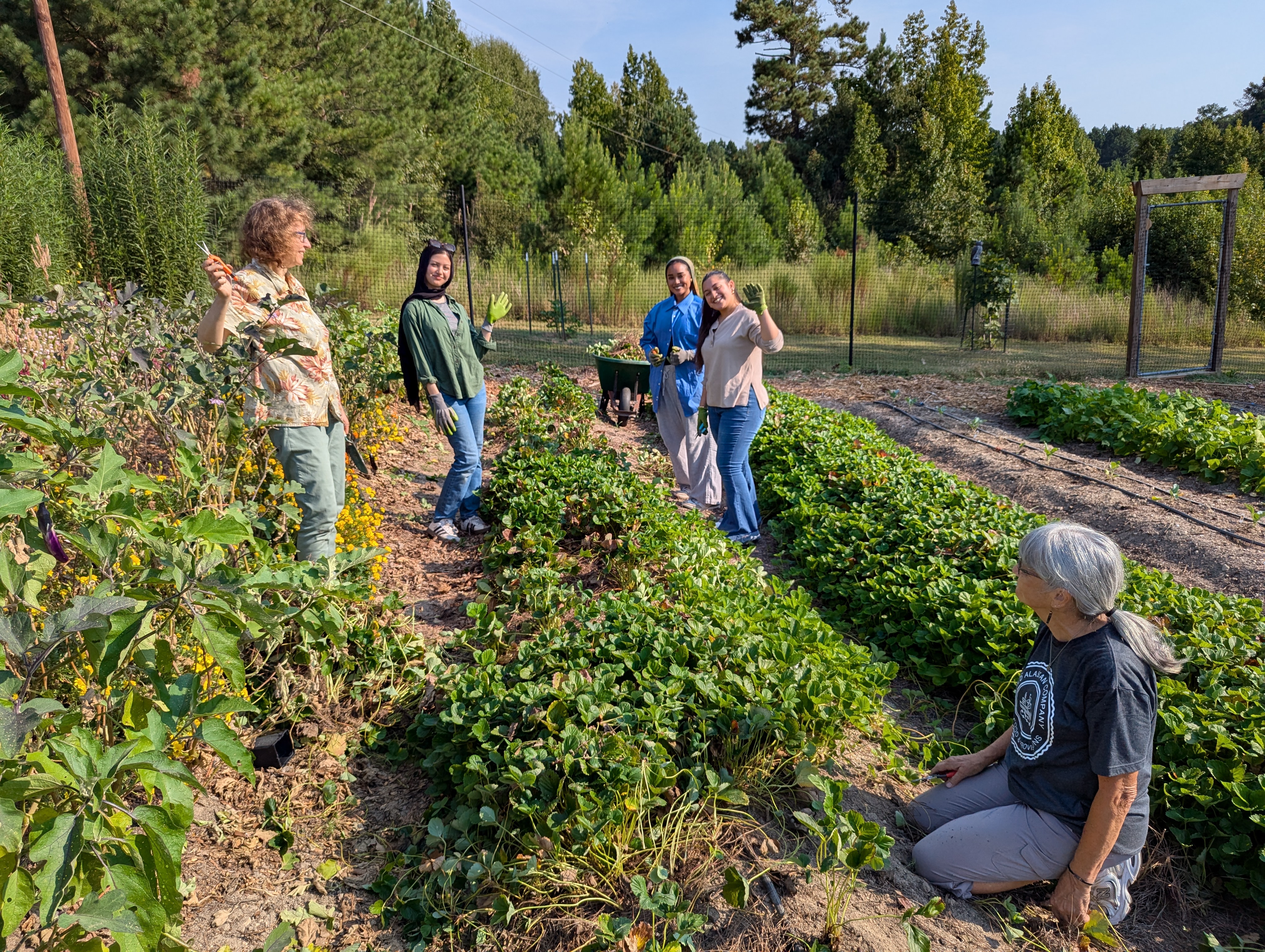 Strawberry Fields Forever