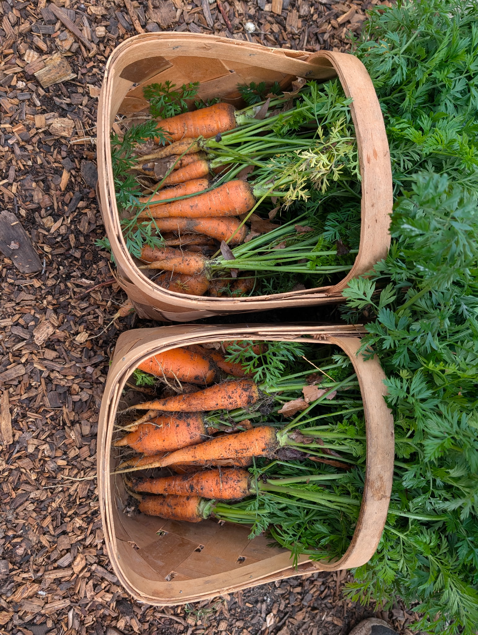 Welcome to Garden 2026 this Saturday and Tuesday!