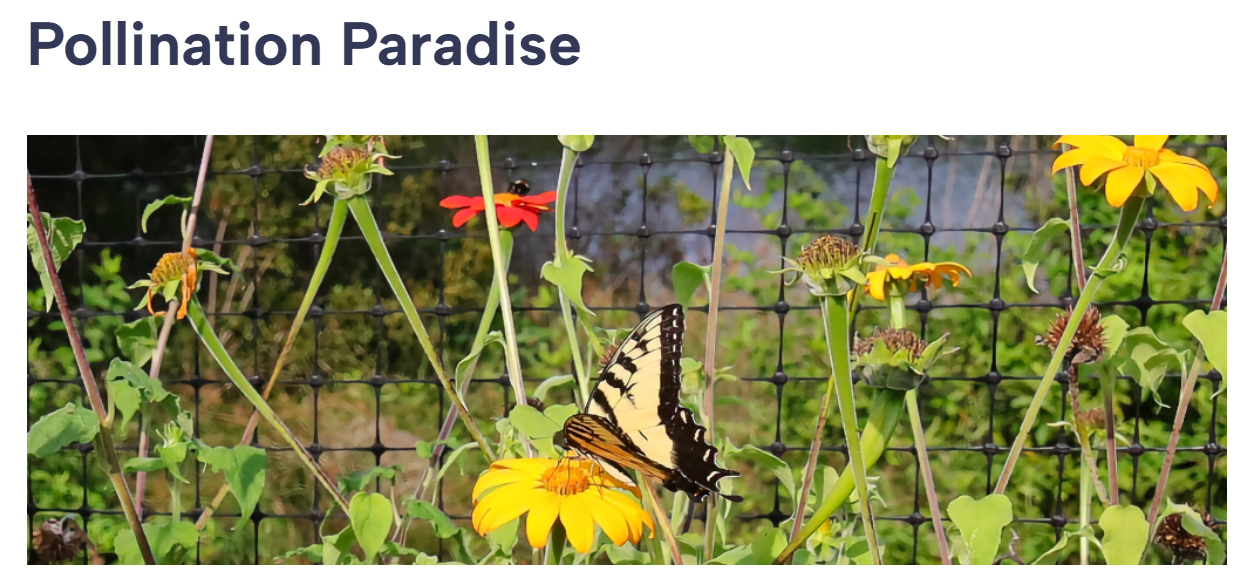 New Pollination Paradise Page