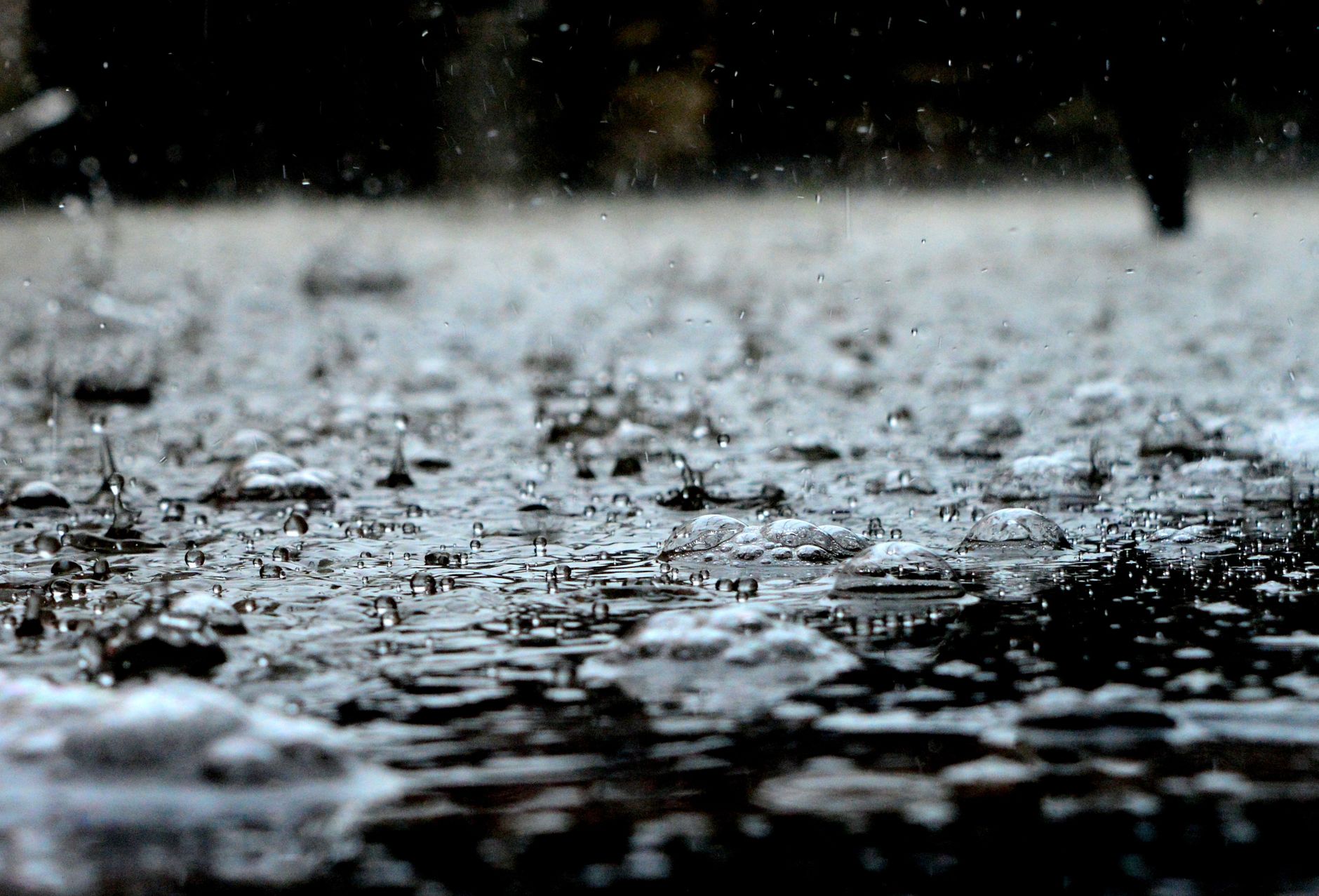 Garden Cancelled Today July 23 Due to Rain